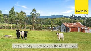 LOT 2 & 3 - Subdivision of 197 Nixon Road, Taupaki