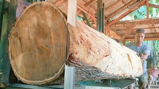 sawing hard and strong acacia wood into good planks