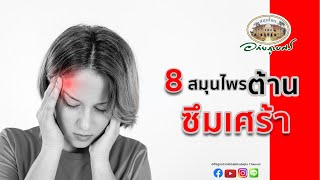 8 สมุนไพร ต้านซึมเศร้า l อภัยภูเบศร [2020]