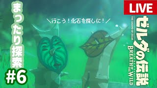 行くぞ！化石を探しに！ストーリークリア後のまったり探索#6【ゼルダの伝説 ブレス オブ ザ ワイルド】