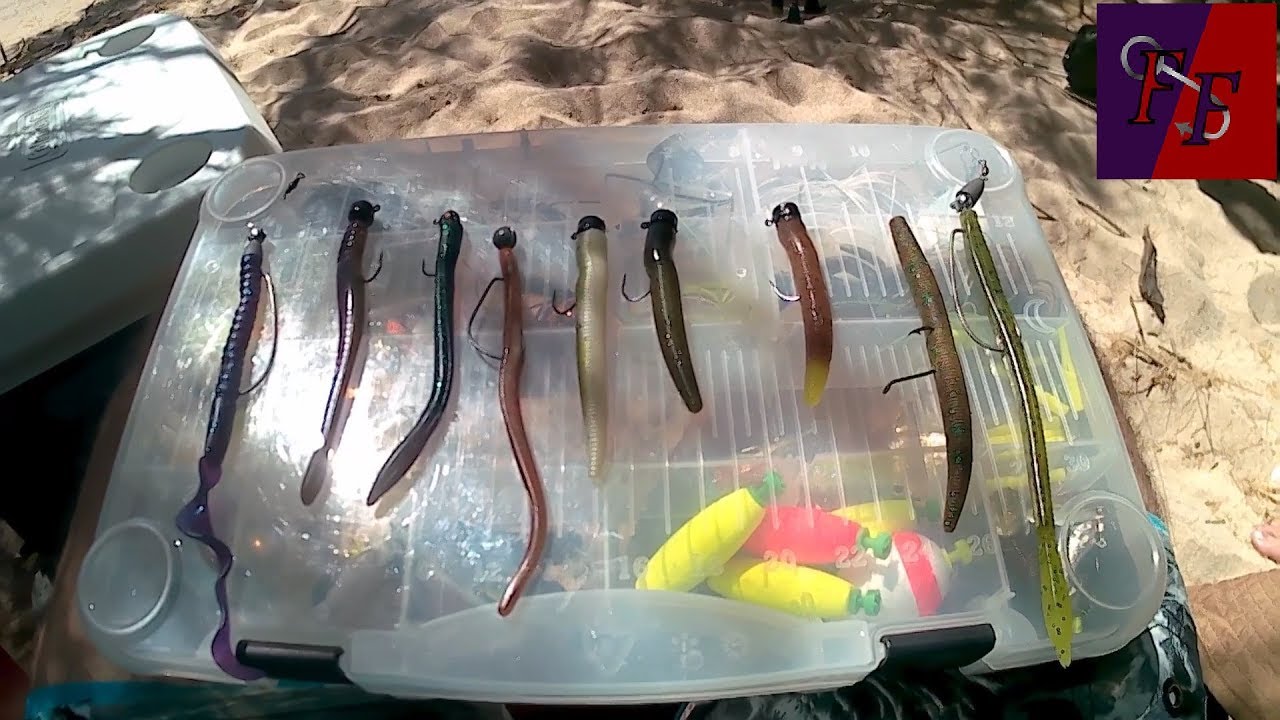 plastic worm techniques
