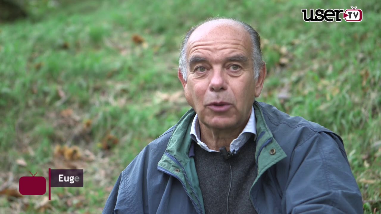 Il diamante di Cervinara: la castagna