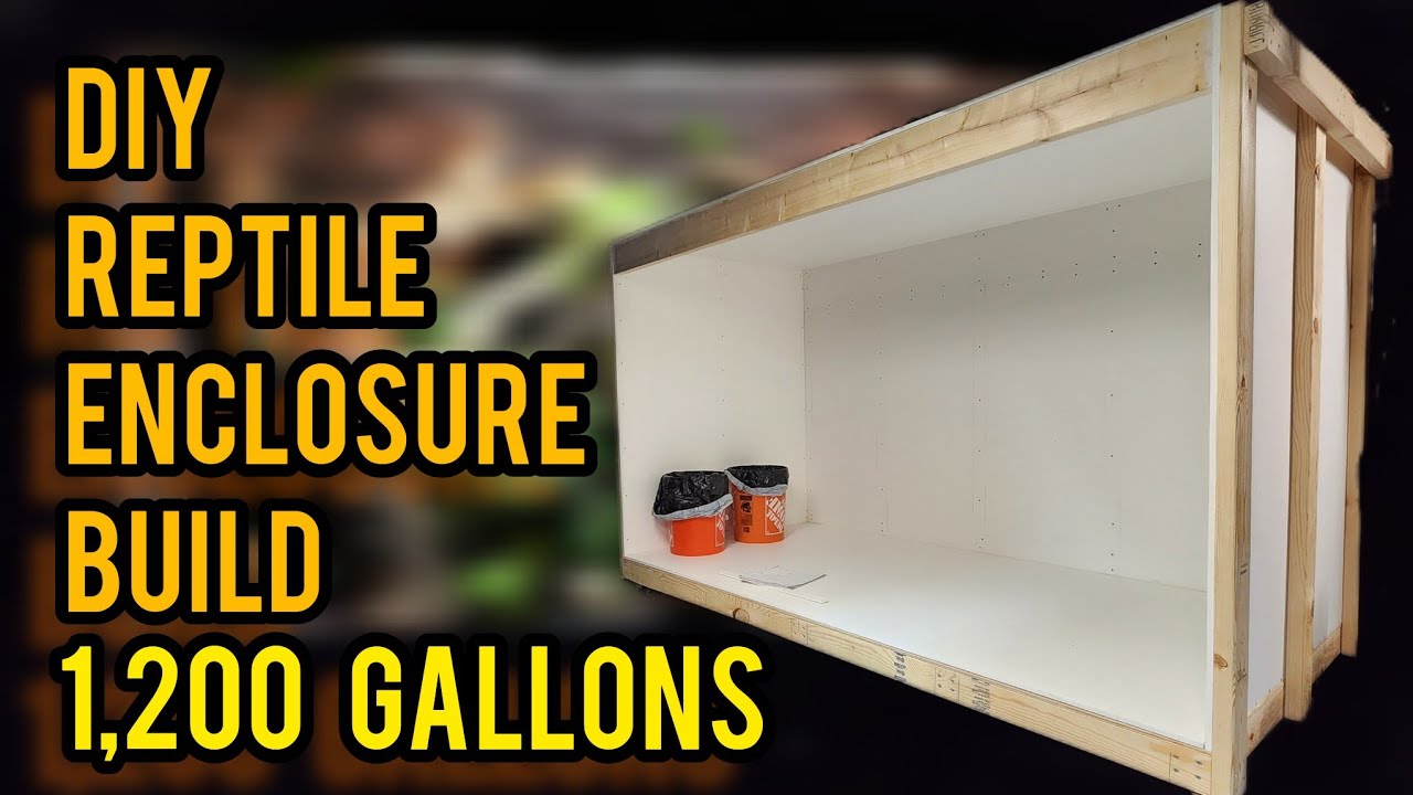DIY HUGE Reptile Enclosure. How To Build a Reptile Cage | Part 1| - YouTube