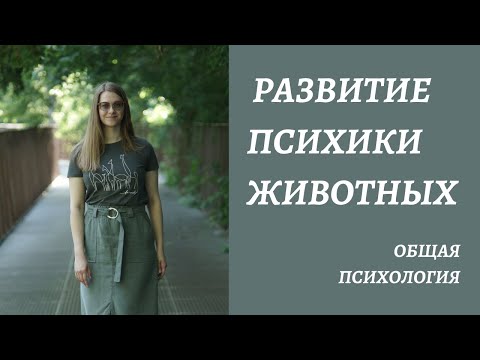 Уровни развития ПСИХИКИ и ПОВЕДЕНИЯ у животных