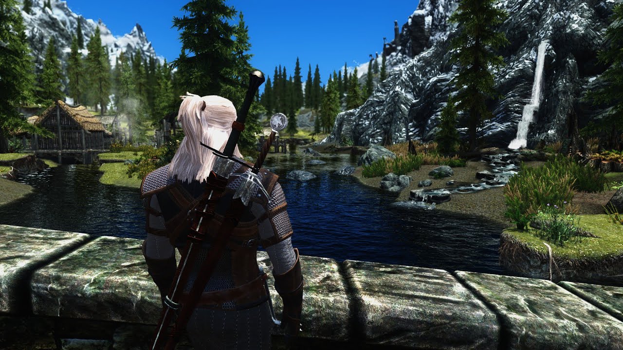 Skyrim мы the witcher 3 фото 15