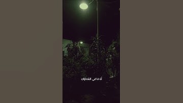 الم ترى ان الله انزل من السماء ماء فتصبح الارض مخضره بصوت القارئ ياسر الدوسري