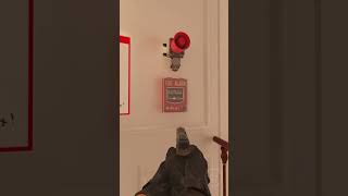 What’s Hidden on Palais? (CS2 vs CS:GO)