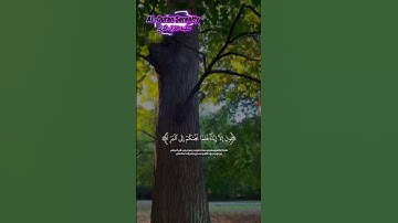 #qurankareem #peaceful #quransurah #تلاوة_خاشعة #تيك_توك #متابعه_ليصلك_كل_جديد #طمأنينة_القرآن