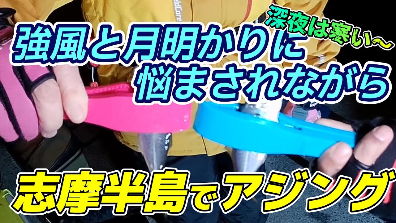 2025.11.8強風と月明かりに悩まされながら志摩半島でアジング