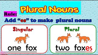 NOUN  ||  Adding /-es/ to Words Ending in CH, SH, S, X, & Z  || Plural Nouns ||  Liy Learns Tutorial