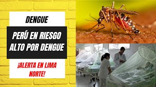 ALERTA DE DENGUE EN LIMA NORTE