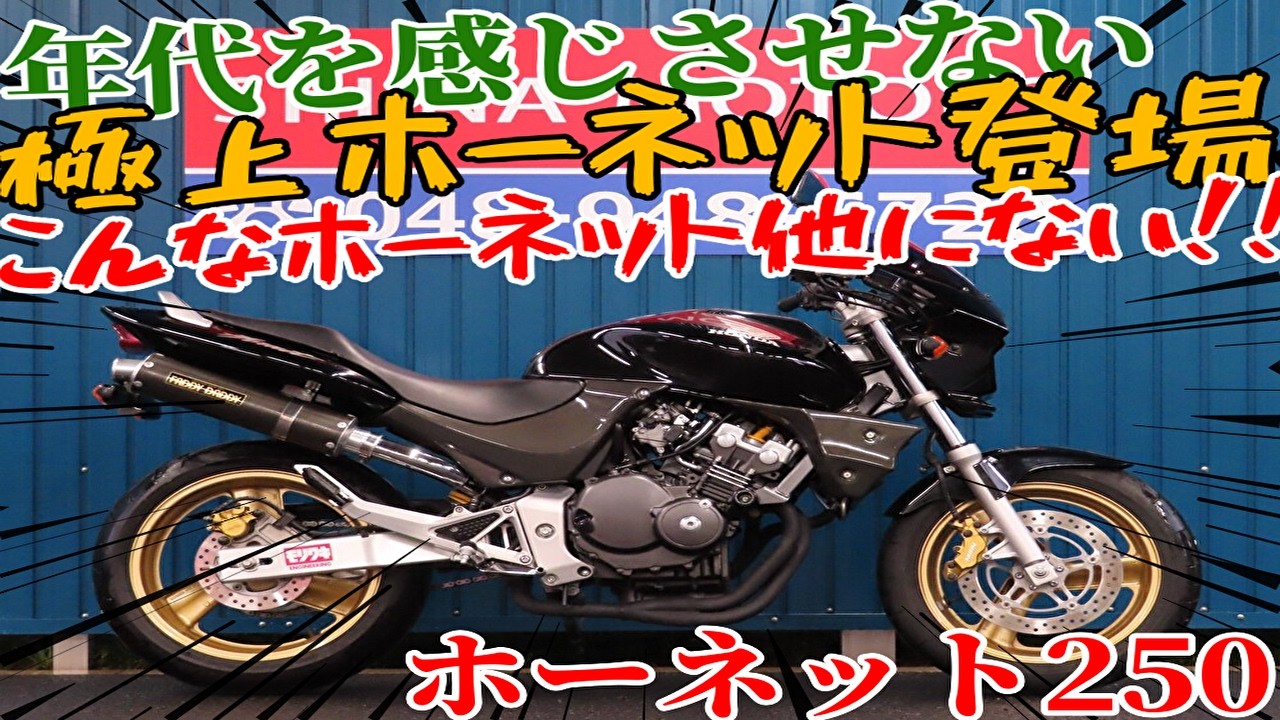 □Shiina Motors Saitama Store Discontinued Model Showroom□ Honda
