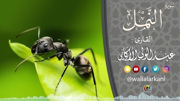 سورة النمل Surah An-Naml | عبدالولي الاركاني ABDULWALI ALARKANI