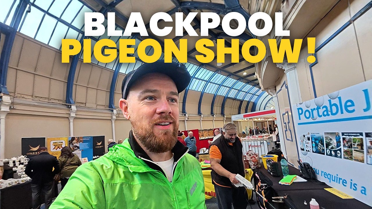 I Spent the Day at the Blackpool Pigeon Show