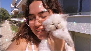 ARTIK BEBEK Bİ KEDİM VAR  Kedi Sahiplenme Vlog