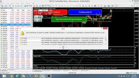 Trade currency with Robot Forex MT4 Programming & Trading EURUSD Scalping VIP