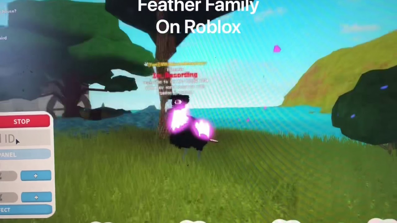 Роблокс музыка 2024 фонк. РОБЛОКС Feather Family. Feather Family коды. Feather Family Roblox. Roblox семья.