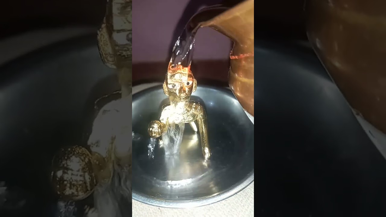 My first vlog lltisri laharll Laddu Gopal Sanan