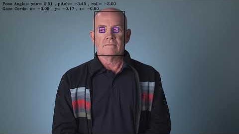 The gaze estimation model