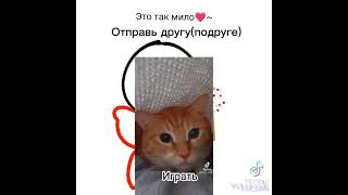 пошли играть в роблокс) 👉👈 #котенок#мяу# он так мило говорит мяу 😽)) надеюсь не будет большим видео( screenshot 3