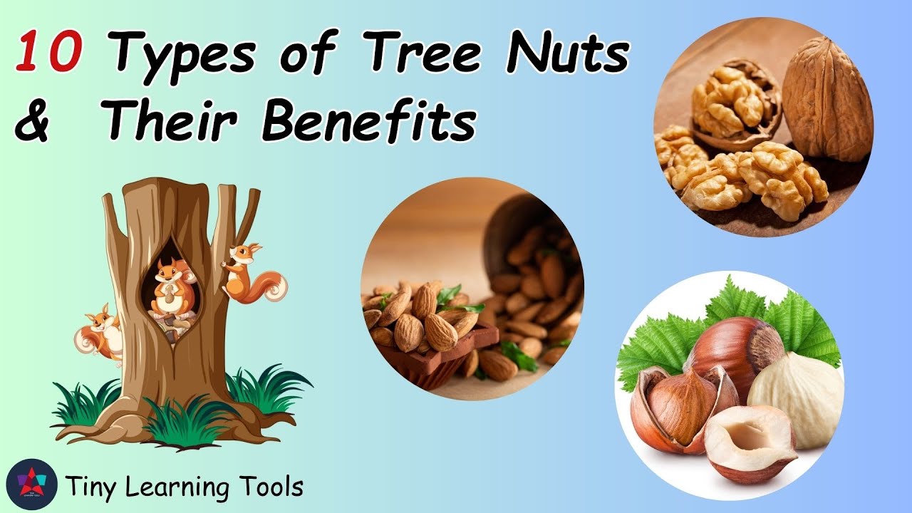 Types Of Tree Nuts