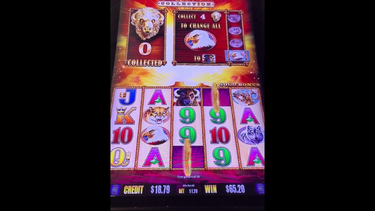thời tiết ngày mai 4 Coin Buffalo Dodging The Curse @kcslotnutz casino slot slots casinogames win gambling