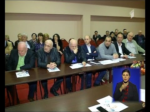 პერინატალური რეგიონალიზაცია - კონფერენცია ქუთაისში