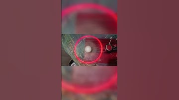 . ✨ DIY Running Light | Beautiful LED😍,#shorts #diy #viral #scienceproject