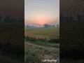 Gaon ki subah ka sukoon, Rajakhera ki shant sadkein #shorts #gaon #nature