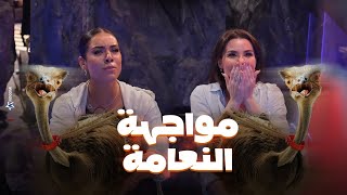 رامز جلال شوف اللى حصل لـ بدرة وجوهرة بعد مواجهة الاعصار ونعام رامز جاب من الاخر
