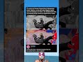 O Homem-Aranha Noir Não É Daltônico — Seu Universo Inteiro É | Aranhaverso (2018)