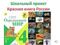 школьный проект по окружающему миру, Красная книга России