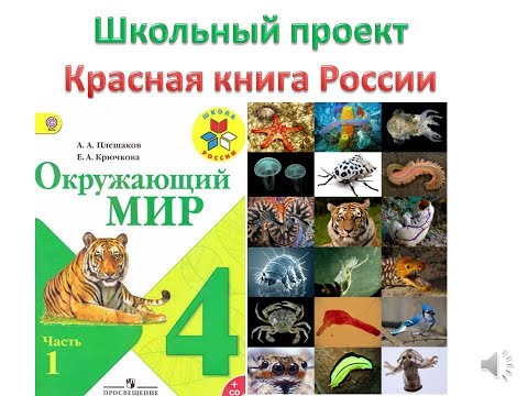 школьный проект по окружающему миру, Красная книга России