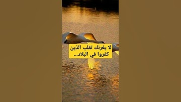 أواخر سورة آل عمران ✨لا يغرنك تقلب الذين كفروا في البلاد...