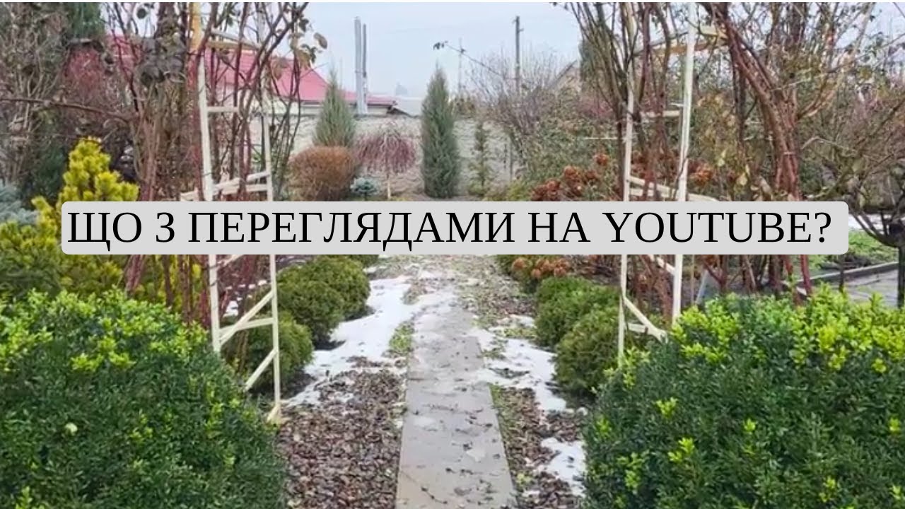 Що відбувається з переглядами на YouTube? | Запоріжжя 💙 Влог про дім і реальність