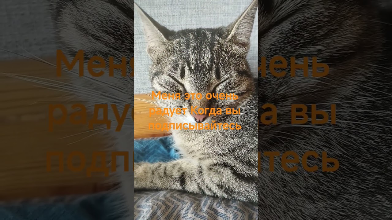 20 июля 2025 г.