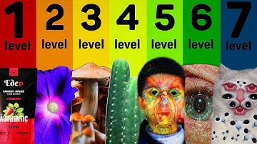 De 7 niveaus van psychedelische drugs