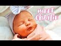 BABY GIRL IS HERE! | Pregnancy Montage