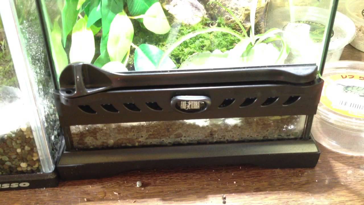 japanese pancake New exo terra 8x8x12 terrarium!