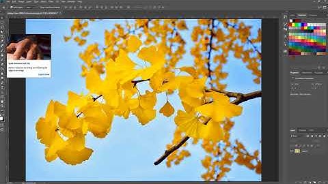 How to disable and enable the Rich Tooltips in Photoshop