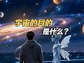 宇宙的目的，是什么？