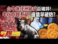 非洲豬瘟疫情