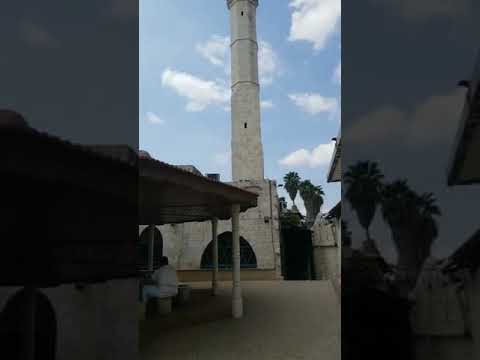 اللد الجامع العمري الكبير اصبح وحيدا لماذا