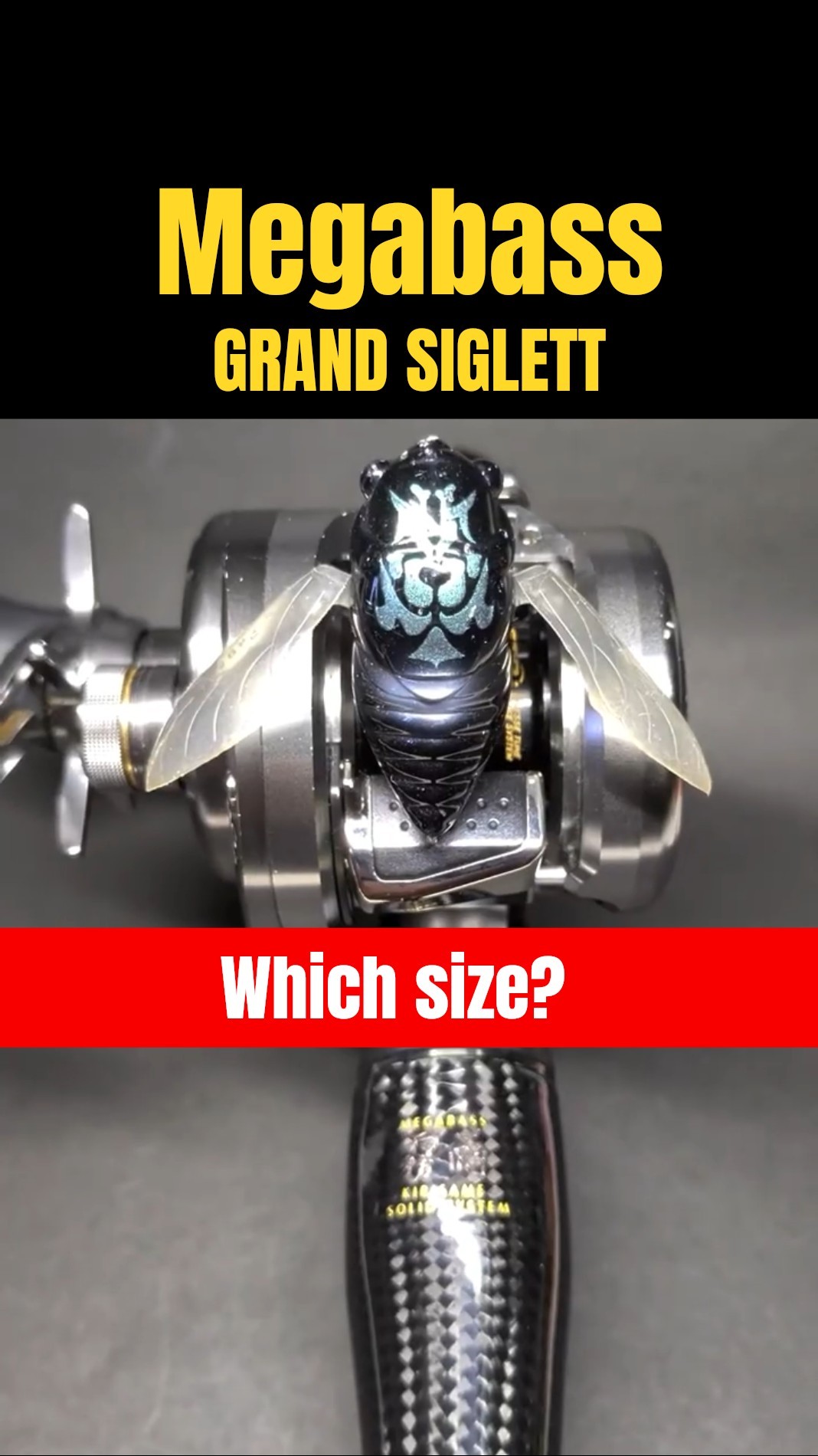 Summer = Cicada. Which size do you choose? SIGLETT｜JDM Fishing
