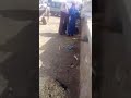 كيسر ولاد سيدي بنداود كيسر ولاد سيدي بنداود