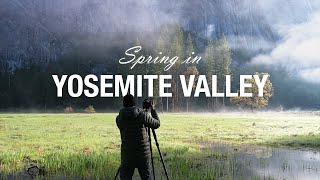 Famous Spring in Yosemite Valley Profile