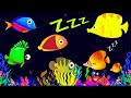 Baby Relaxing Lullaby Sleep Music 🐠🐡 Mozart Sleep Instantly Within in 3 Minutes 🐠🐡 Under Fish #11