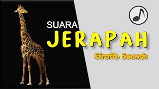 Suara JERAPAH