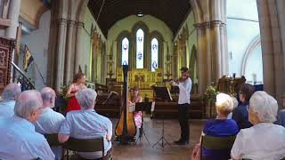 Down by the Sally Gardens, arr. John Buckley ~ Aurora Trio