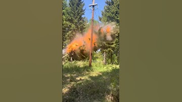 Safely Removing Trees from Electric Wires: Essential Tips and Techniques| Noughty people